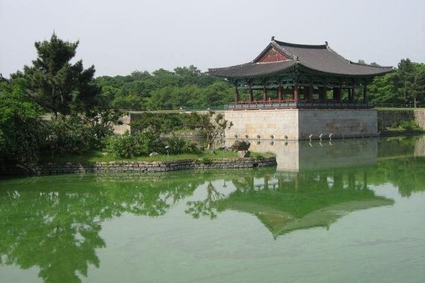 Anamji pond 5