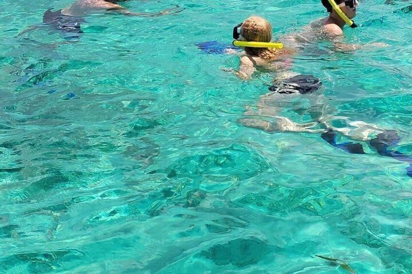 Roatan VIP Free-Style Private Tour 3