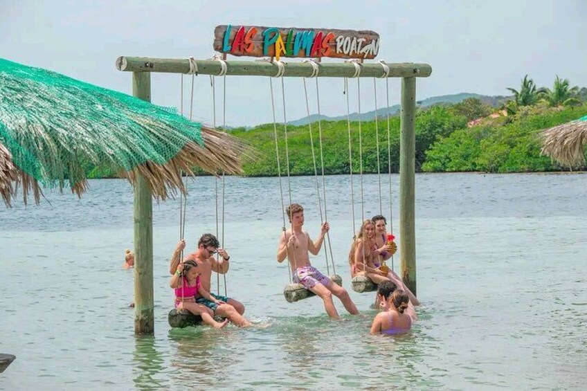 Roatan VIP Free-Style Private Tour 5