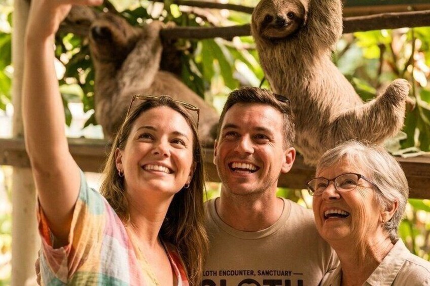 A family with a sloth in a zoo enclosure. 3