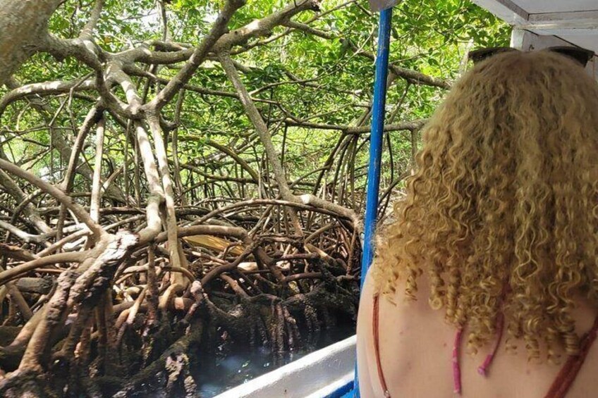 Ultimate Combo Mangrove tour,Horseback Riding, Snorkeling & beach 2