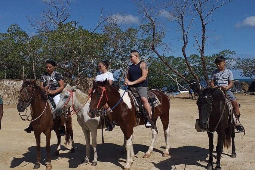 Ultimate Combo Mangrove tour,Horseback Riding, Snorkeling & beach 3
