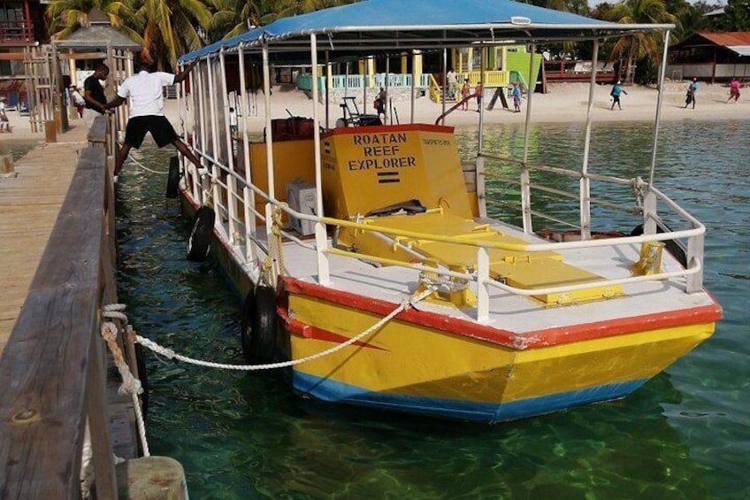 Glass bottom boat 1
