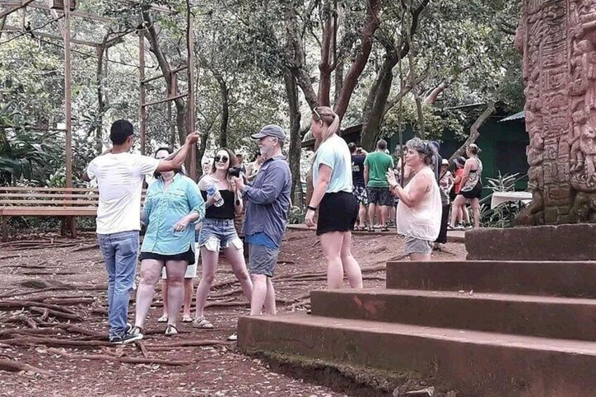 Guided tour in the wildlife 4