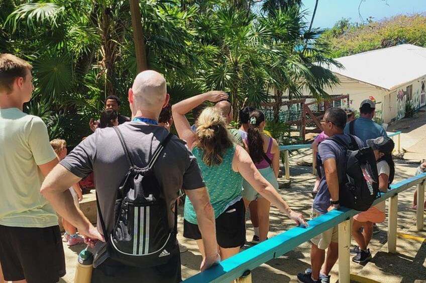 A group of people standing and walking in a tropical outdoor area with palm trees and a building in the background. 2