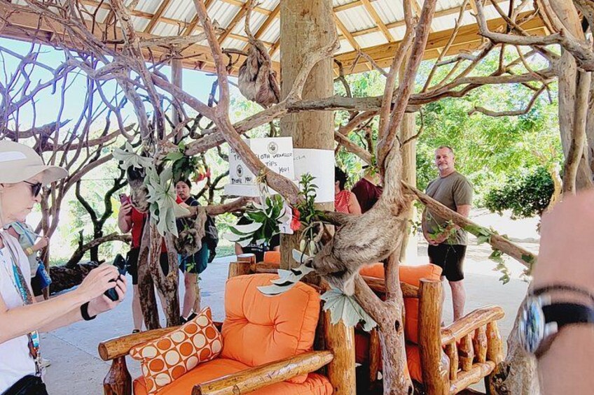 A covered seating area with orange cushions, surrounded by wooden structures and branches. 3