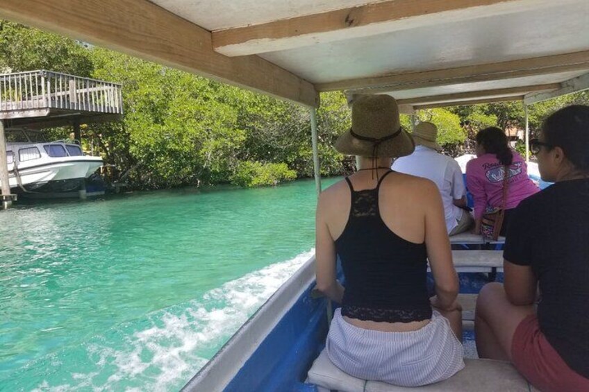 Mangrove Tunnel, Garifuna village,food tasting,wildlife encounter 1
