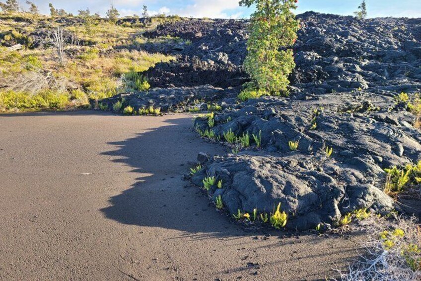 A road curving through a volcanic landscape with sparse vegetation and a clear sky. 3