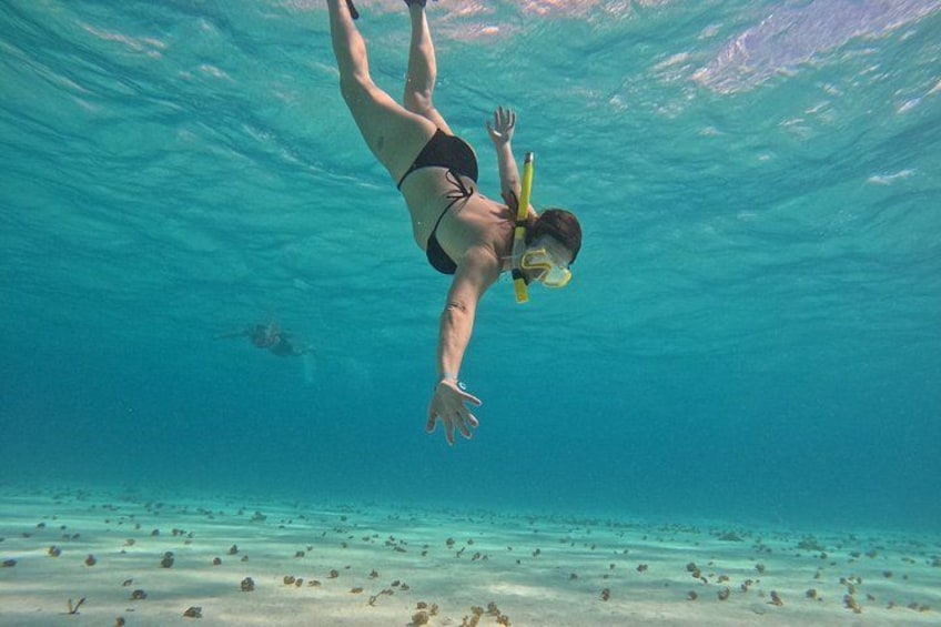 Una persona nada bajo el agua con aletas y gafas. 4