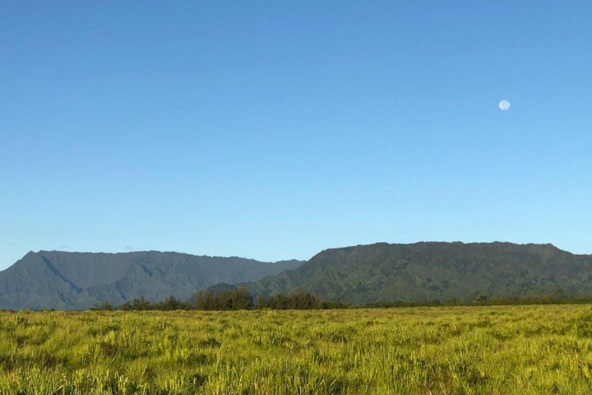 Kauai East Side and North Shore Private Guided Tour 3