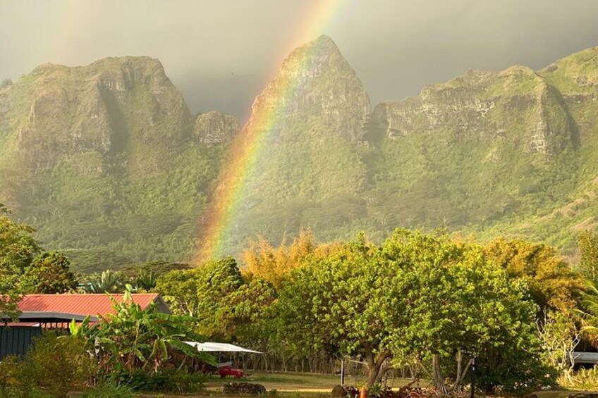 A lush landscape with a rainbow, mountains, and a red-roofed building. 4