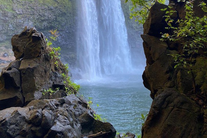 Kauai East Side and North Shore Private Guided Tour 5