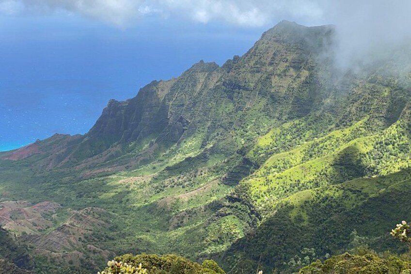 Kauai's Waimea Canyon and South Side Private Guided Tour 5