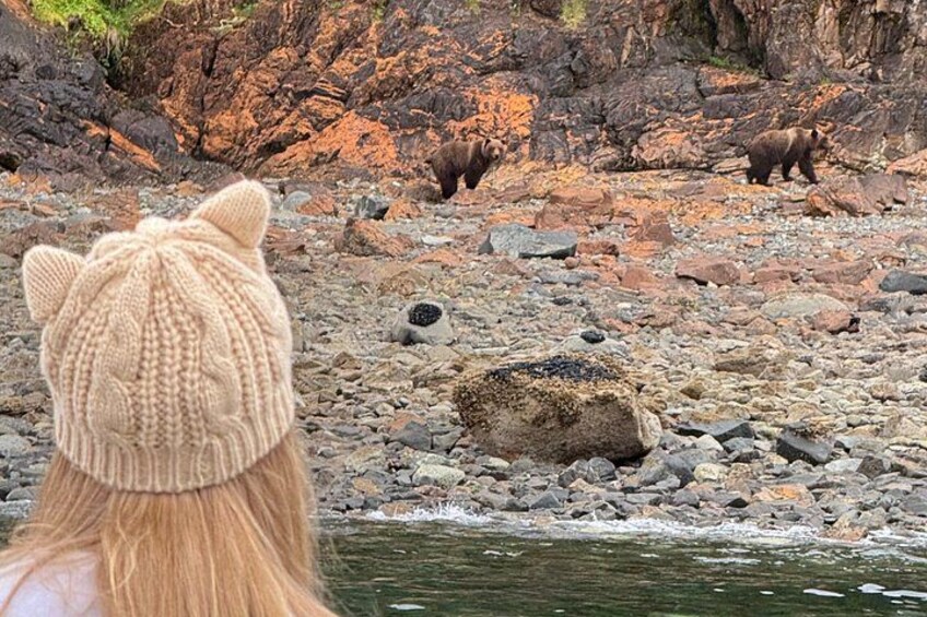 A rocky shoreline with bears and a person wearing a knitted hat. 5