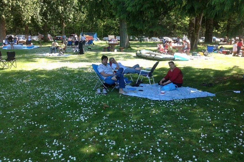 En park med mennesker, der slapper af i liggestole og på tæpper, omgivet af træer og græs. 4