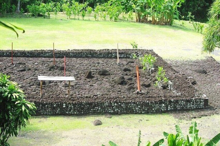 Marae 5
