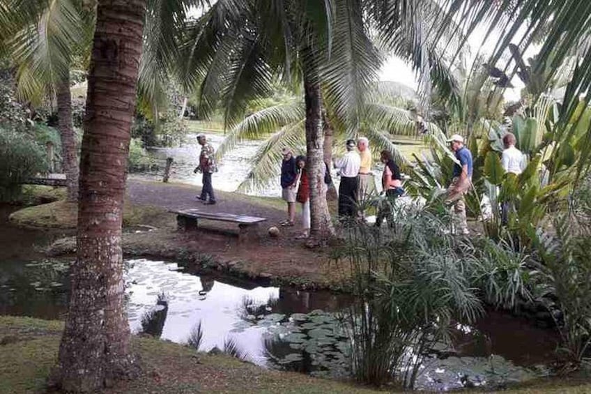 Botanical garden 5