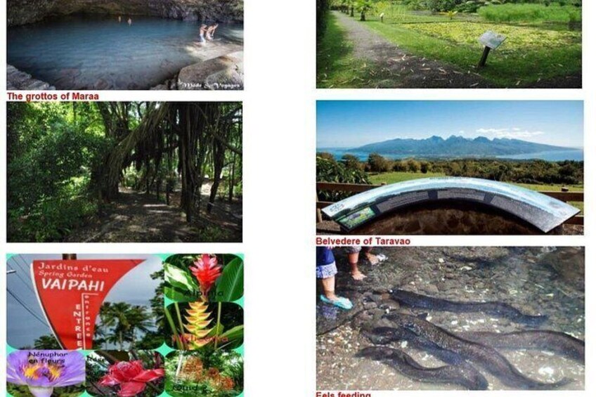 5 Hours Tahiti Island Tour - West and East Coast 2