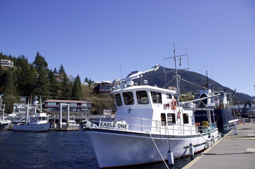 Ketchikans Best Wildlife, Sightseeing and Whale Watching Quest 3