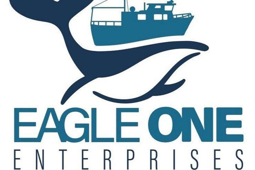 Company Logo 4