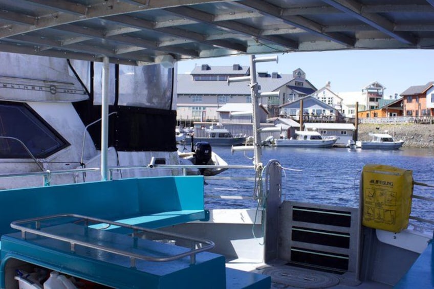 Ketchikans Best Wildlife, Sightseeing and Whale Watching Quest 3
