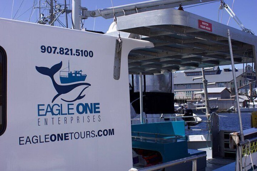 Ketchikans Best Wildlife, Sightseeing and Whale Watching Quest 2