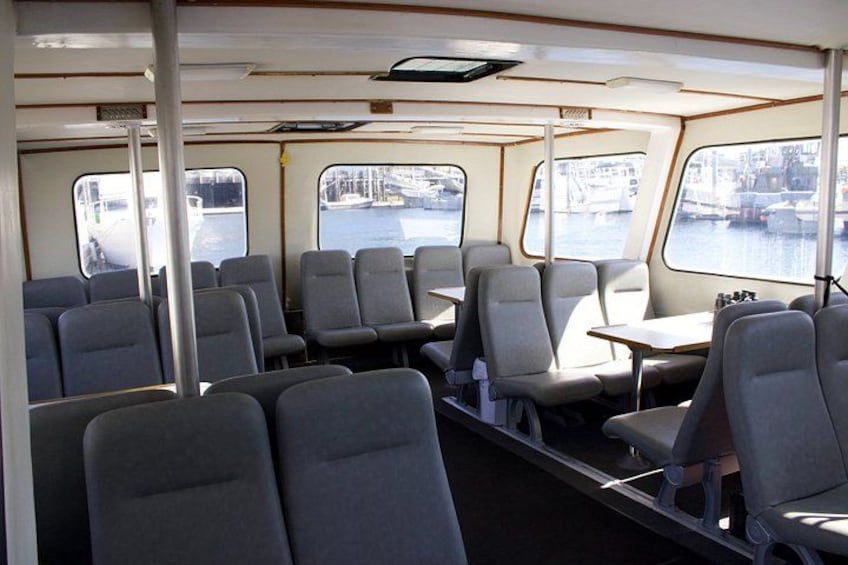 Ketchikans Best Wildlife, Sightseeing and Whale Watching Quest 4
