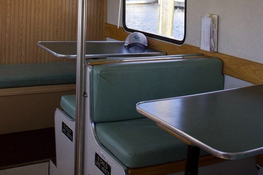 Ketchikans Best Wildlife, Sightseeing and Whale Watching Quest 5