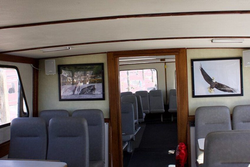 Ketchikans Best Wildlife, Sightseeing and Whale Watching Quest 3