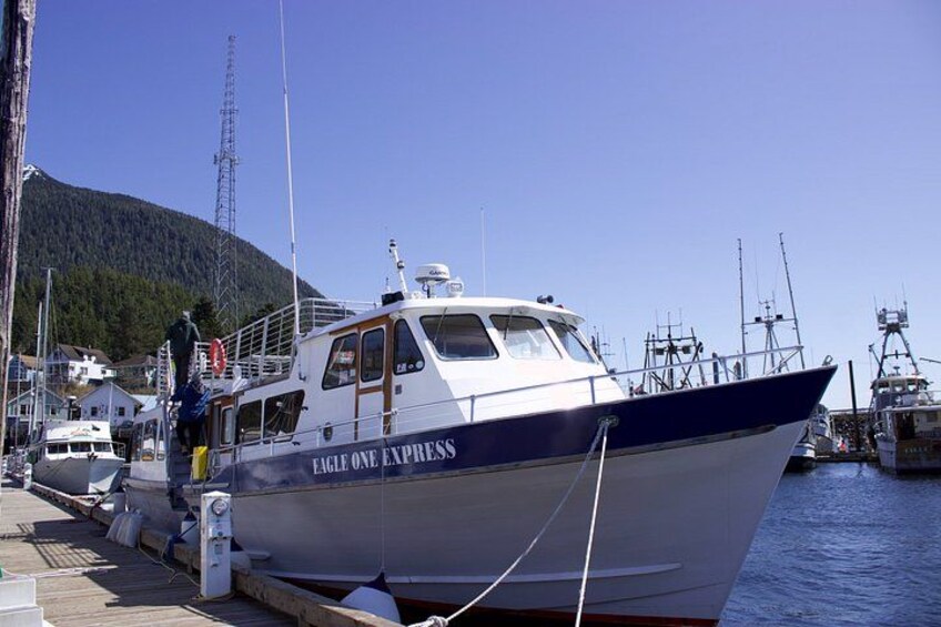 Ketchikans Best Wildlife, Sightseeing and Whale Watching Quest 4