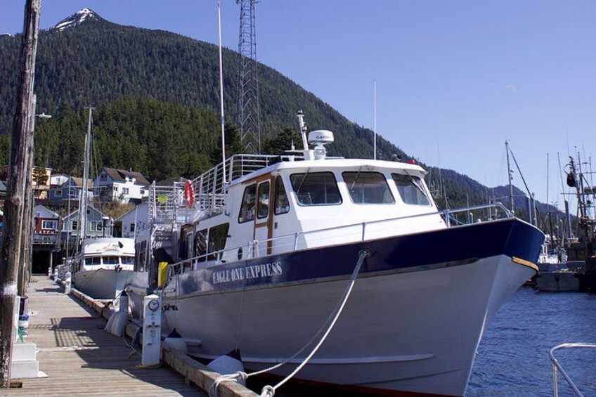 Ketchikans Best Wildlife, Sightseeing and Whale Watching Quest 4