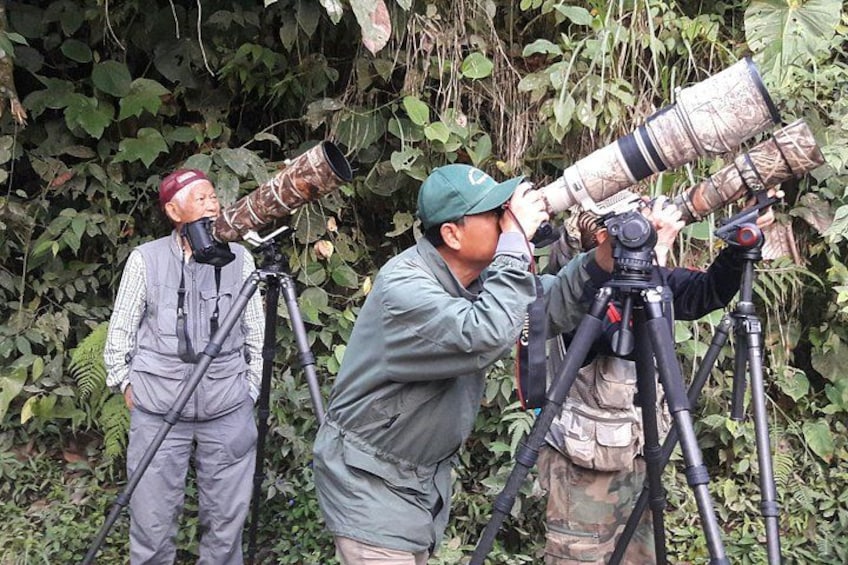 Birding Tour 5
