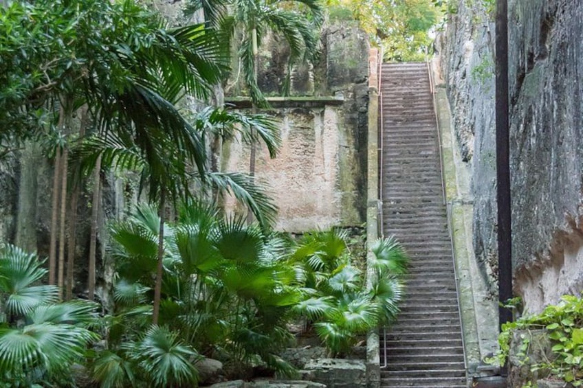 Dilly Dally Walking Tour of Nassau Attractions 5