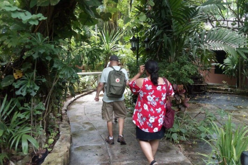 A pathway surrounded by lush greenery, a person with a backpack, and another person walking. 4