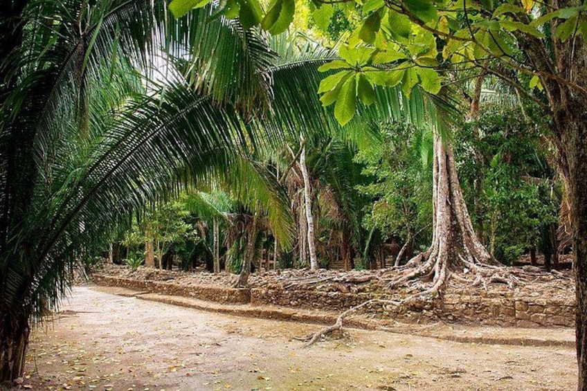 Chacchoben Mayan Ruins Tour with Certified Guide from Costa Maya 4