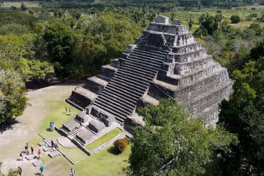 Une grande structure pyramidale, entourée d’une végétation luxuriante. 2