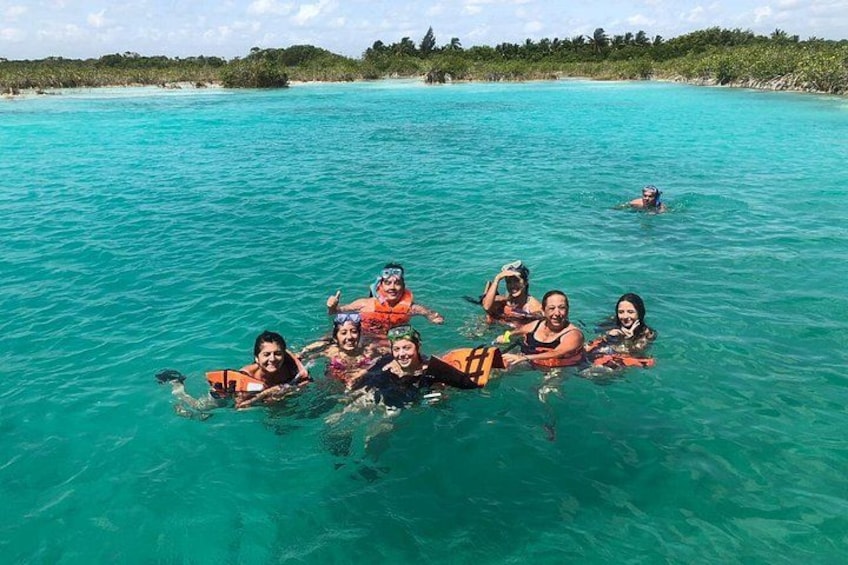 A group of people snorkeling in clear turquoise water with a beach and palm trees in the background. 4