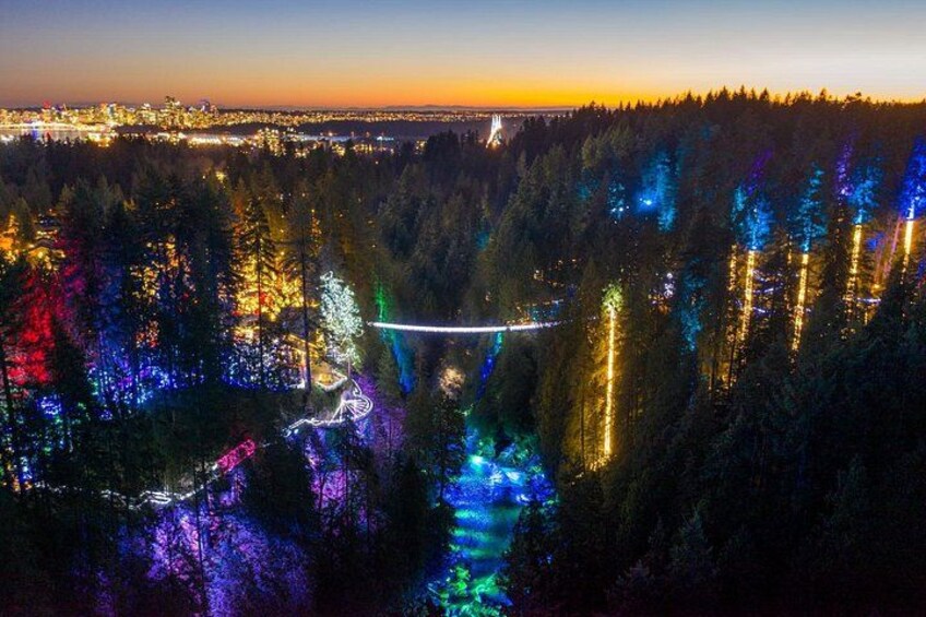 Vancouver: Capilano Suspension Bridge & Grouse Mountain Tour 5