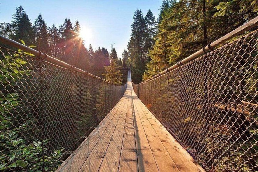 Un pont suspendu en bois, entouré d’arbres. 4