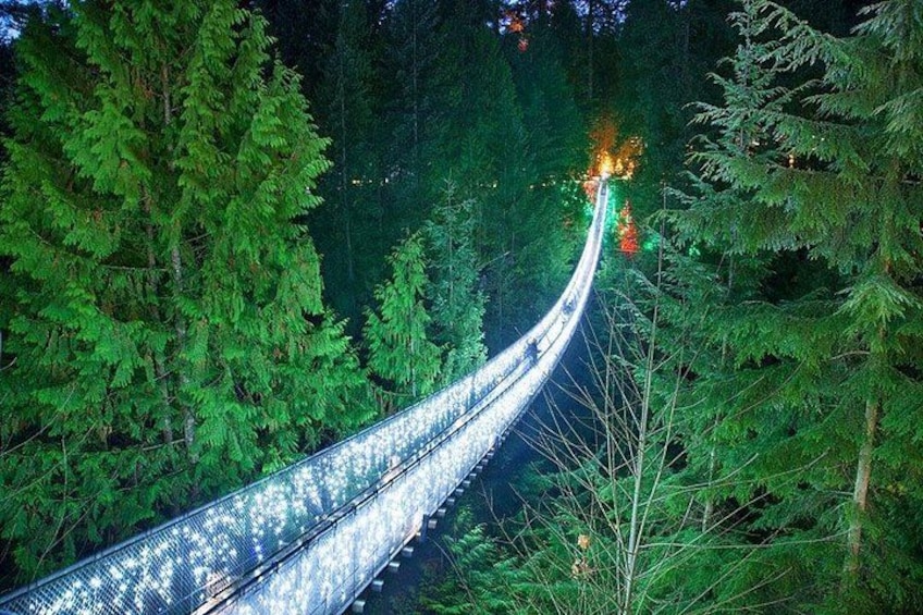 A suspension bridge in a forest. 3