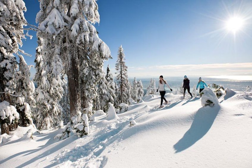 Un paisaje nevado con senderistas, árboles cubiertos de nieve y un cielo despejado. 3