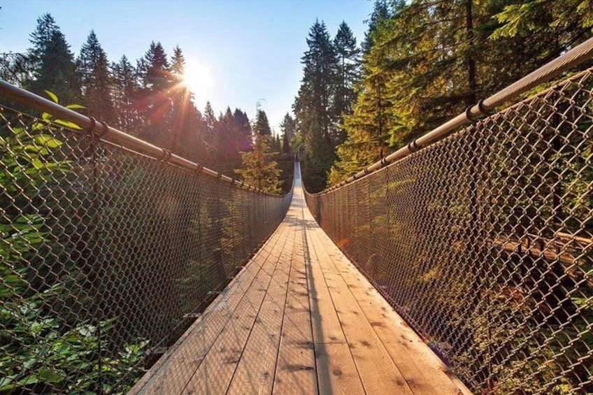Un puente colgante de madera rodeado de árboles. 2