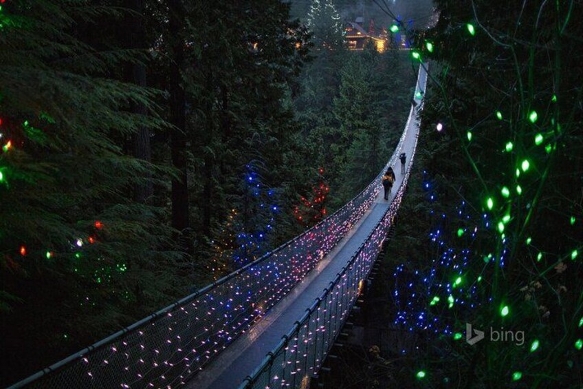 A suspension bridge adorned with colorful lights, surrounded by dense forest. 5