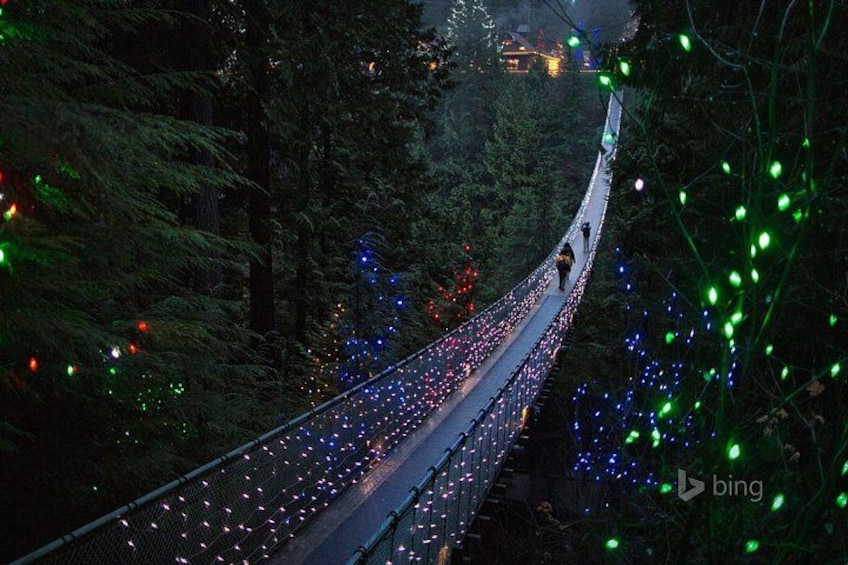 Vancouver: Capilano Suspension Bridge & Grouse Mountain Tour 5