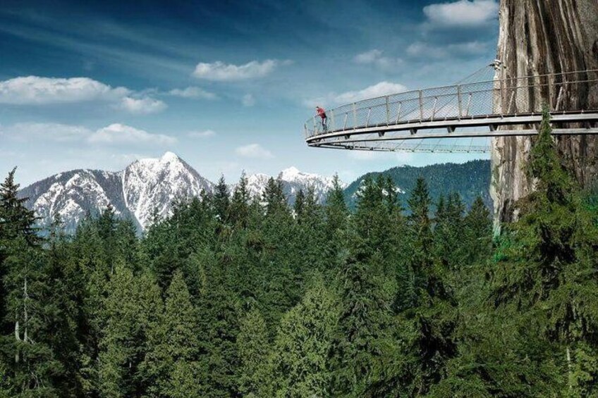 Un pont suspendu, une forêt et des montagnes aux sommets enneigés. 3