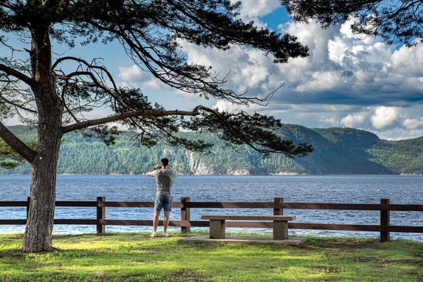 A person standing by a lake with a tree and a wooden fence in the foreground. 3