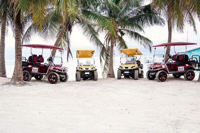 Fire golfbiler parkeret på en sandstrand med palmer i baggrunden. 2