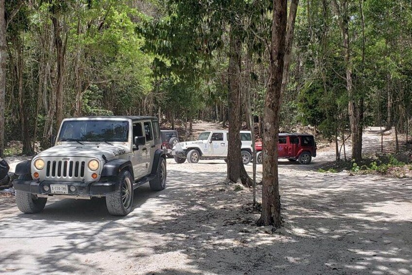 Cozumel Jeep Adventure to Jade Caverns with Lunch and Snorkel 4