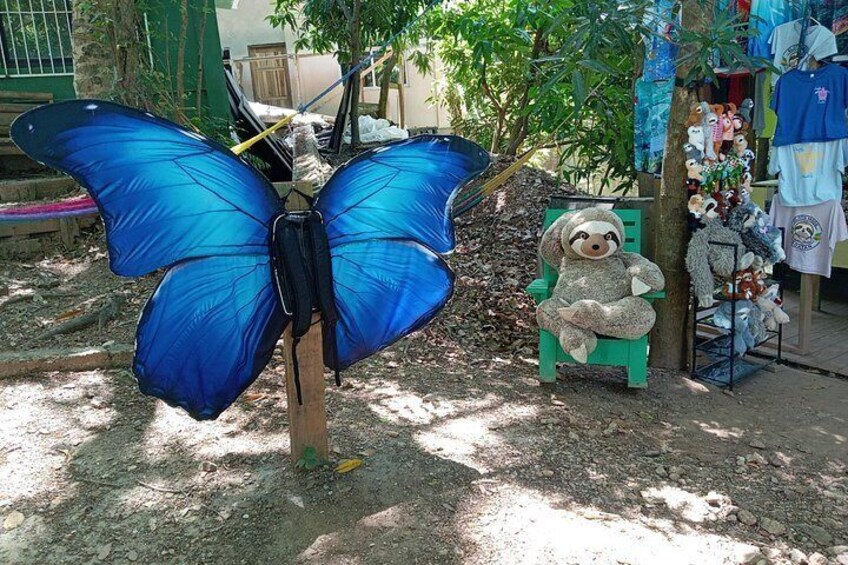 Roatan Wildlife Monkeys,Sloths, chocolate Rum tasting Island Tour 2