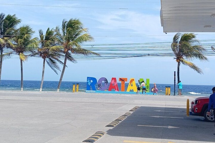 Roatan Wildlife Monkeys,Sloths, chocolate Rum tasting Island Tour 2